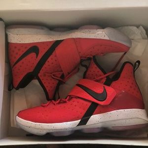 Lebron 14s